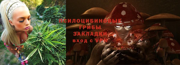 прущие крисы Бугульма