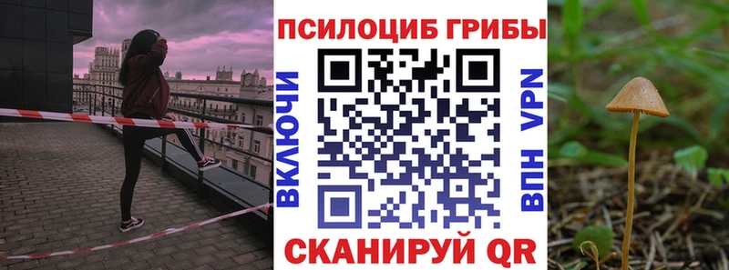 Псилоцибиновые грибы Cubensis  Ейск 